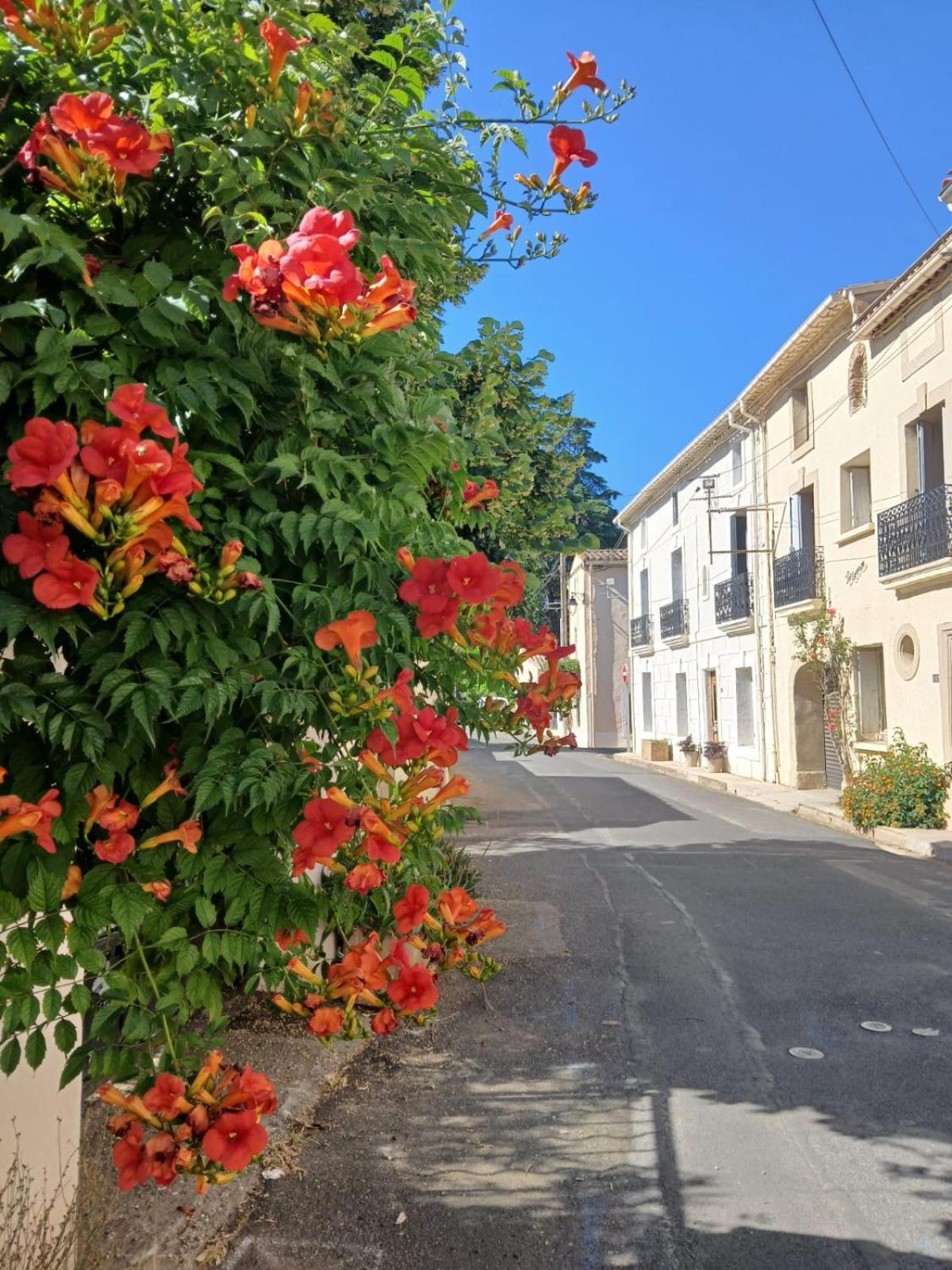 L'Oostaloo Logement De Vacances Usclas-l'Herault Екстериор снимка